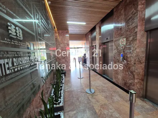 Oficina en renta en Veronica Anzures, Miguel Hidalgo — foto 2 de 15