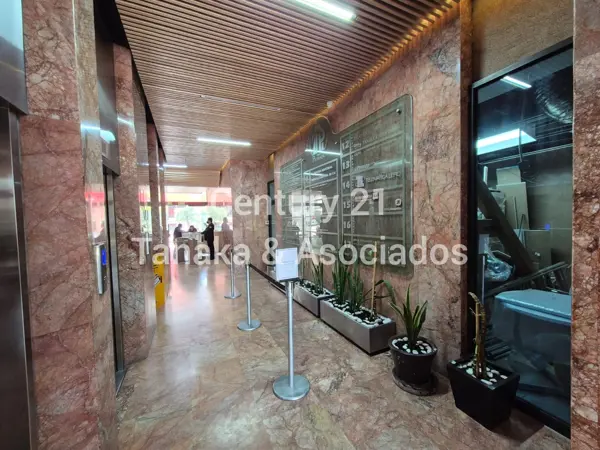 Oficina en renta en Veronica Anzures, Miguel Hidalgo — foto 3 de 15