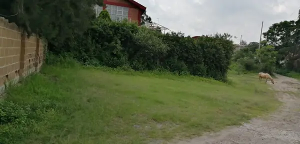Terreno en venta en El Oasis Valsequillo, Puebla — foto 2 de 9