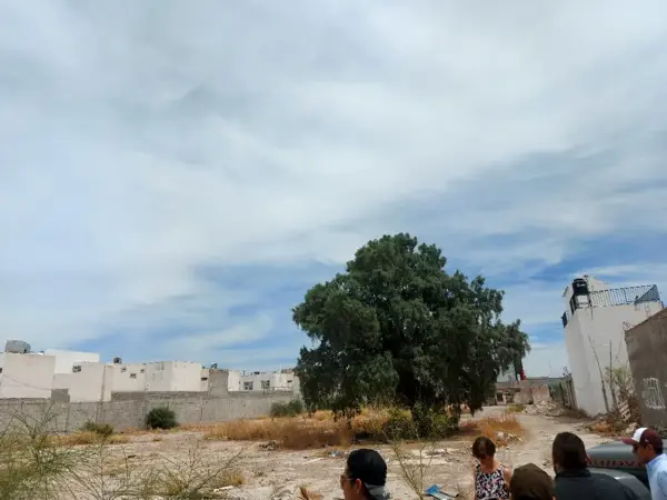 Terreno en venta en Ejido Ana, Torreón — foto 2 de 6