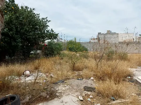 Terreno en venta en Ejido Ana, Torreón — foto 3 de 6