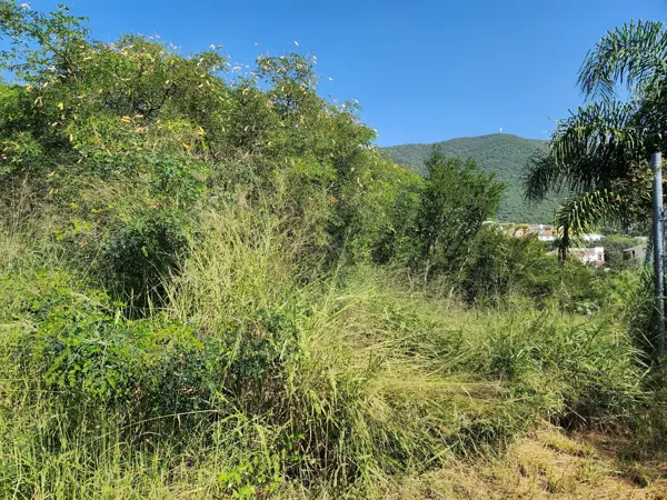 Terreno en venta en Cañadas del Sur, Monterrey — foto 2 de 4