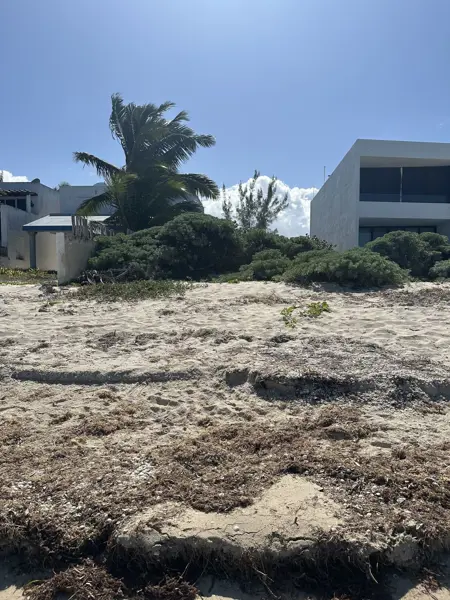 Terreno en venta en Chicxulub Puerto, Progreso — foto 3 de 6