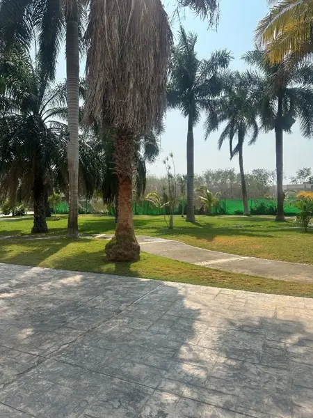 Casa en renta en Montebello, Mérida — foto 3 de 25
