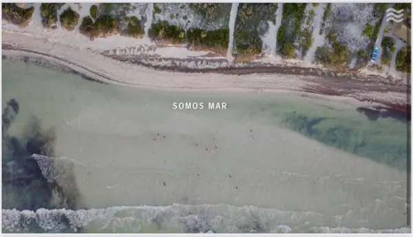 Terreno en venta en San Crisanto, Sinanché — foto 3 de 8