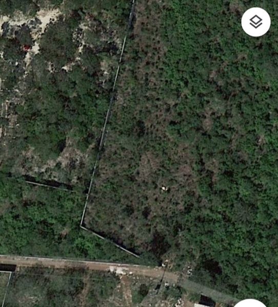 Terreno en venta en Cholul, Mérida — foto 3 de 8