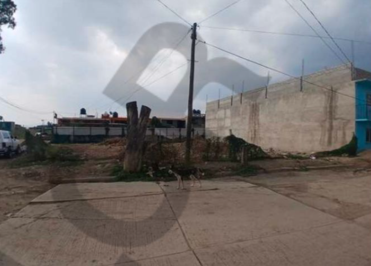 Terreno en venta en Villa de Etla Centro, Villa de Etla — foto 1 de 3