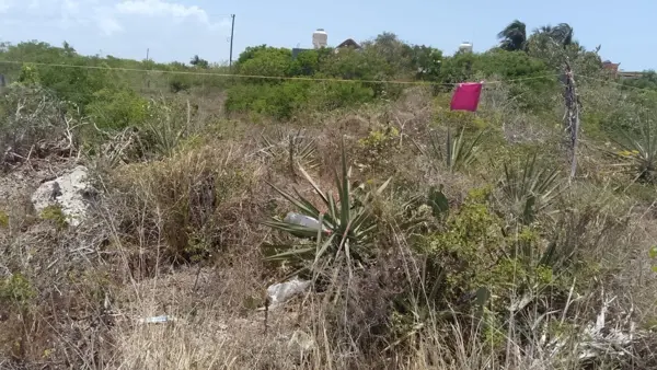 Terreno en venta en Chicxulub Puerto, Progreso — foto 2 de 3