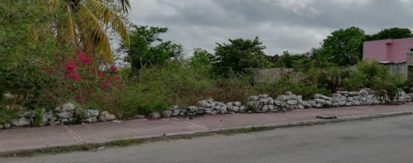 Terreno en venta en Tixpehual, Tixpéhual — foto 3 de 5