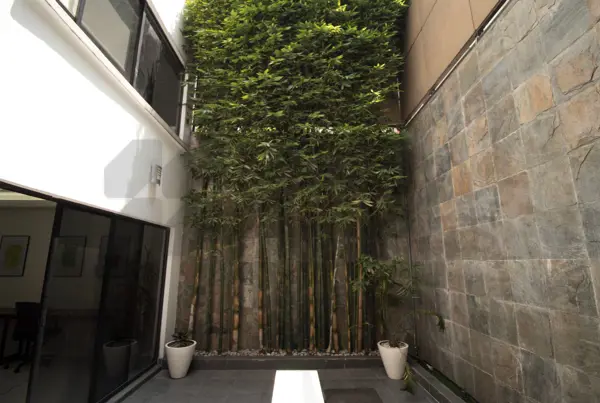 Oficina en venta en Polanco I Sección, Miguel Hidalgo — foto 2 de 11