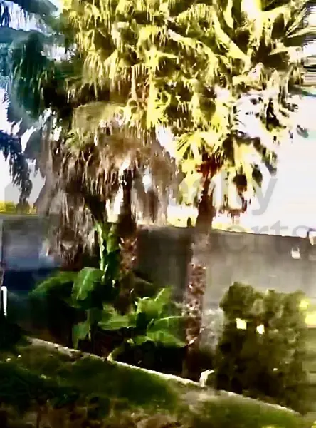 Quinta en venta en Jardines de La Silla, Juárez — foto 2 de 10