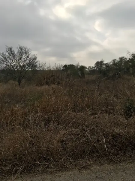 Terreno en venta en Los Sabinos (Sabinos de Abajo), Allende — foto 2 de 11
