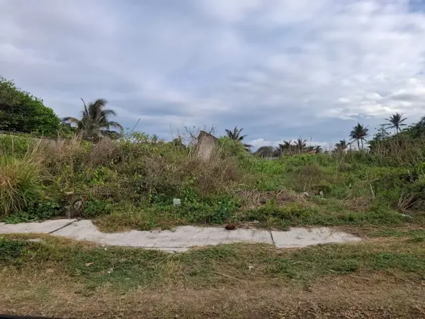 Terreno en venta en Anton Lizardo, Alvarado — foto 2 de 5