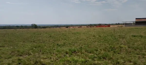 Finca-Rancho en venta en Buenavista de Peñuelas, Aguascalientes — foto 3 de 17