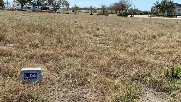 Terreno en venta en Las Olas Residencial, Alvarado — foto 2 de 8