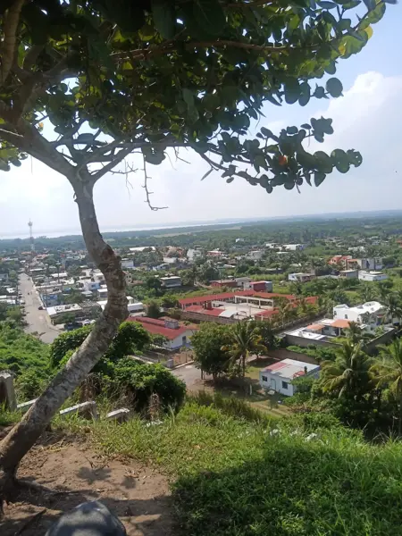 Terreno en venta en Los Manantiales Residencial, Alvarado — foto 3 de 8