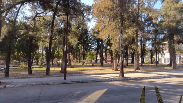 Oficina en renta en La Calma, Zapopan — foto 2 de 10
