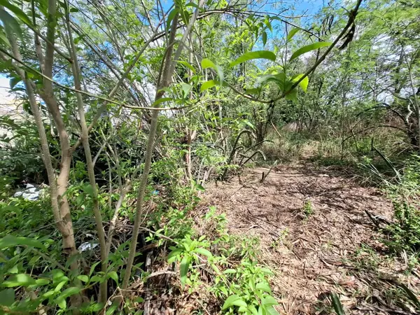 Terreno en venta en Montes de Ame, Mérida — foto 3 de 10