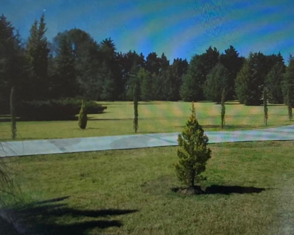 Terreno en venta en San Miguel Totocuitlapilco, Metepec — foto 3 de 4