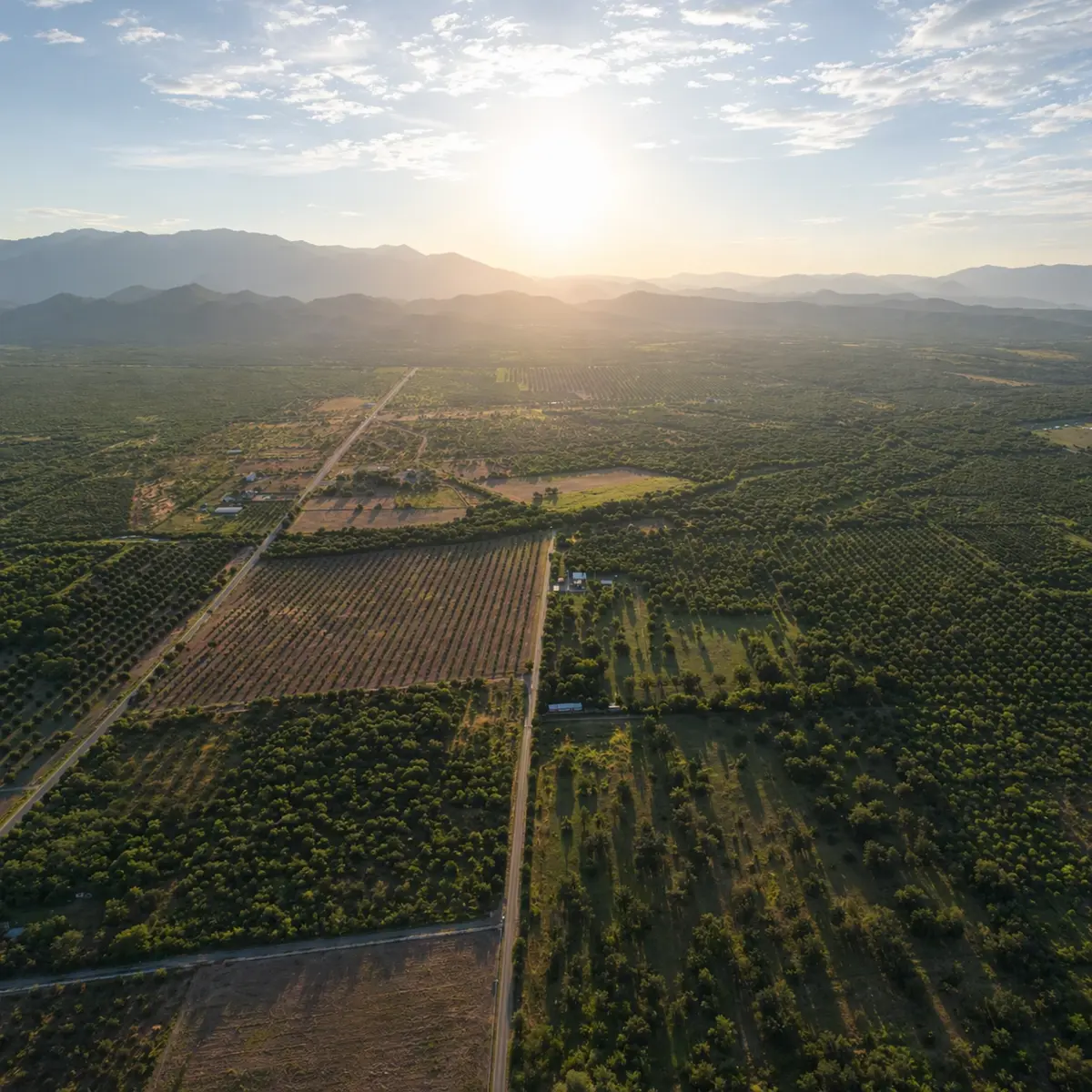 Finca-Rancho en venta en Bustamante, Bustamante — foto 1 de 8