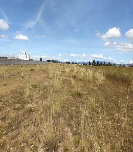 VENTA DE TERRENO INDUSTRIAL,  HUAMANTLA, TLAXCALA