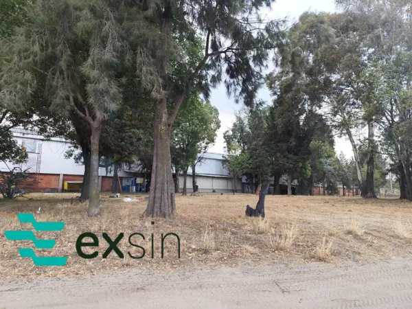 Terreno en venta en Barrio Primera, Teolocholco — foto 2 de 15