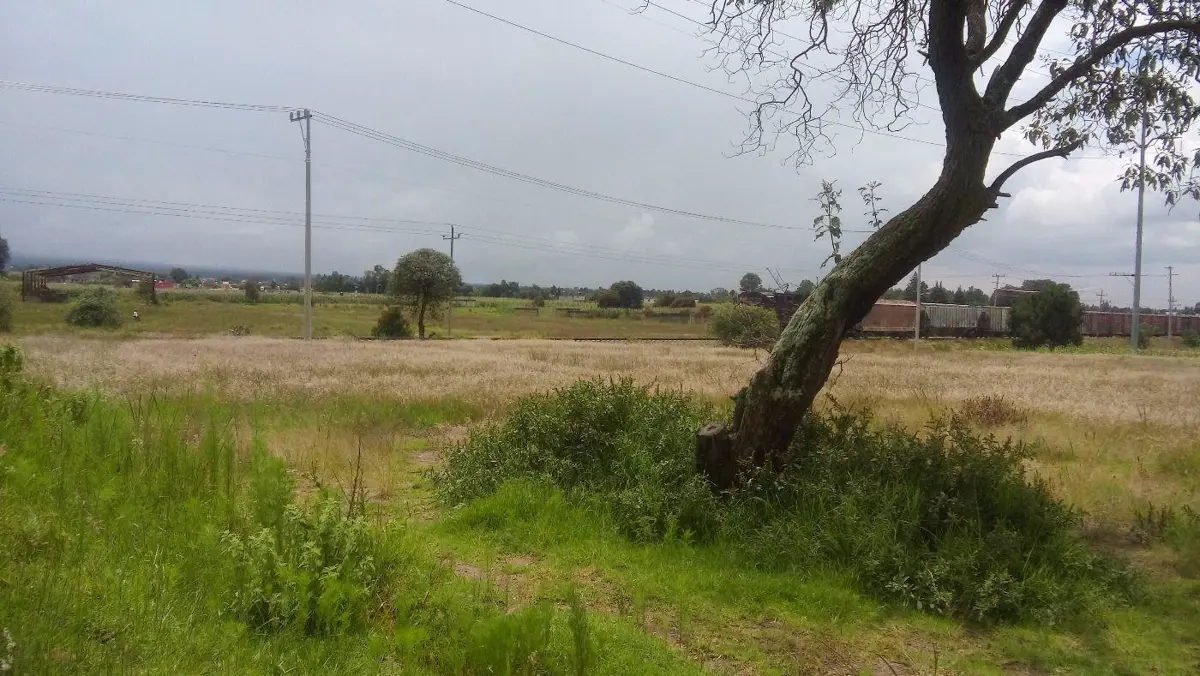 Terreno en venta en Barrio Quiahuixtla Norte, Santa Isabel Xiloxoxtla — foto 1 de 11