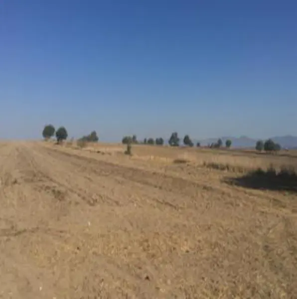 Terreno - San José Chiapa