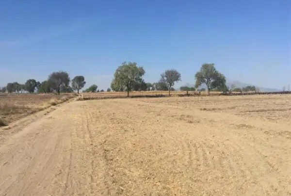 Terreno en venta en Sin colonia, San José Chiapa — foto 2 de 5