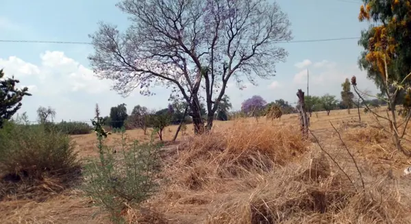 Terreno en venta en Sin colonia, Tecamachalco — foto 2 de 23