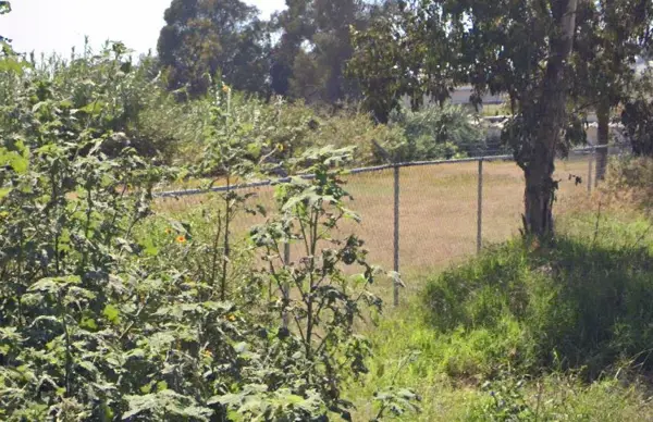 Terreno en venta en Pueblo Chipilo de Francisco Javier Mina, San Gregorio Atzompa — foto 3 de 6