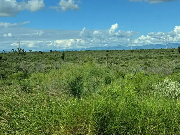 Terreno en venta en Agua Fría, Apodaca — foto 3 de 16