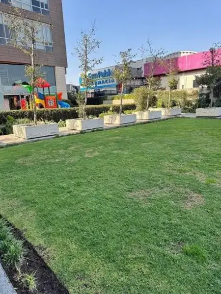 Departamento en renta en Pedregal de Carrasco, Coyoacán — foto 2 de 4