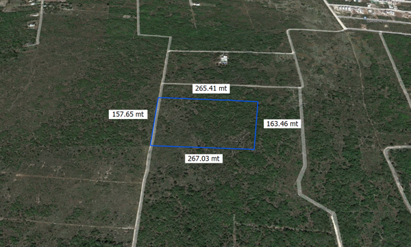 Terreno en venta en Tixcuytun, Mérida — foto 3 de 4