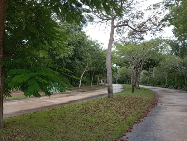 Terreno en venta en Cabo Norte, Mérida — foto 2 de 14