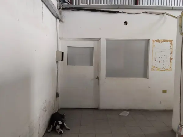 Bodega en venta en Luis Horacio Salinas, Torreón — foto 2 de 10