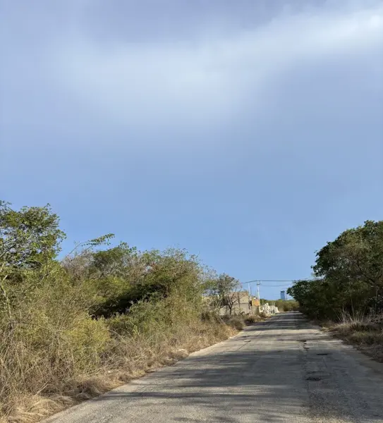Terreno en venta en Temozon Norte, Mérida — foto 3 de 6