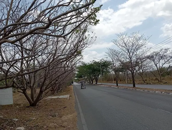 Terreno en venta en Juan Pablo II, Mérida — foto 3 de 12