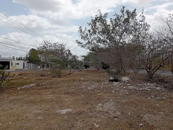 Terreno en venta en Juan Pablo II, Mérida — foto 3 de 8