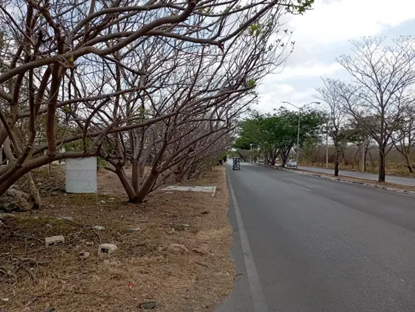 Terreno en venta en Juan Pablo II, Mérida — foto 2 de 10