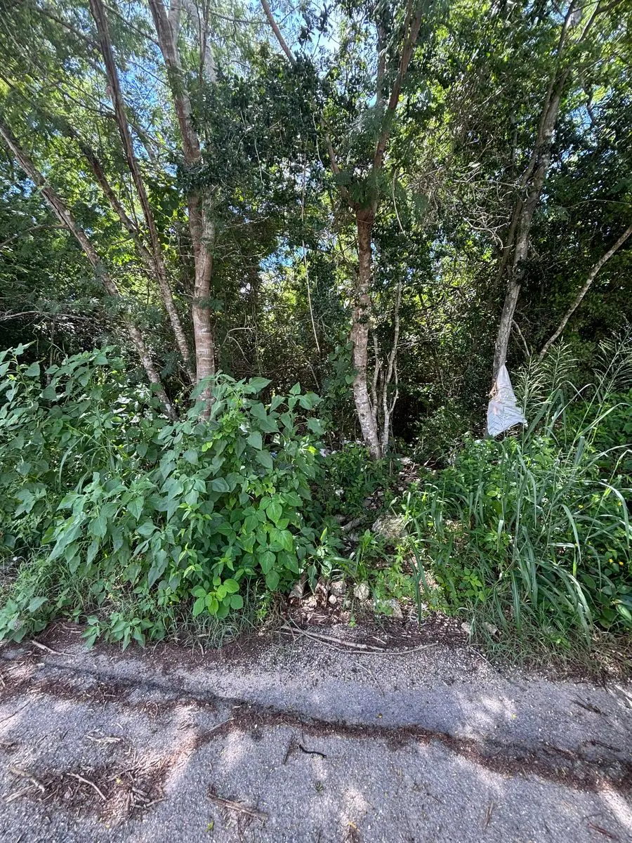 Terreno en venta en Temozon Norte, Mérida — foto 1 de 6