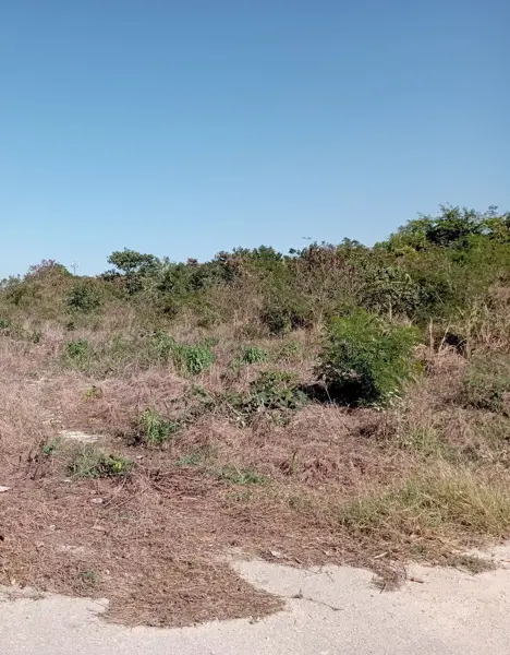 Terreno en venta en Dzitya, Mérida — foto 3 de 11