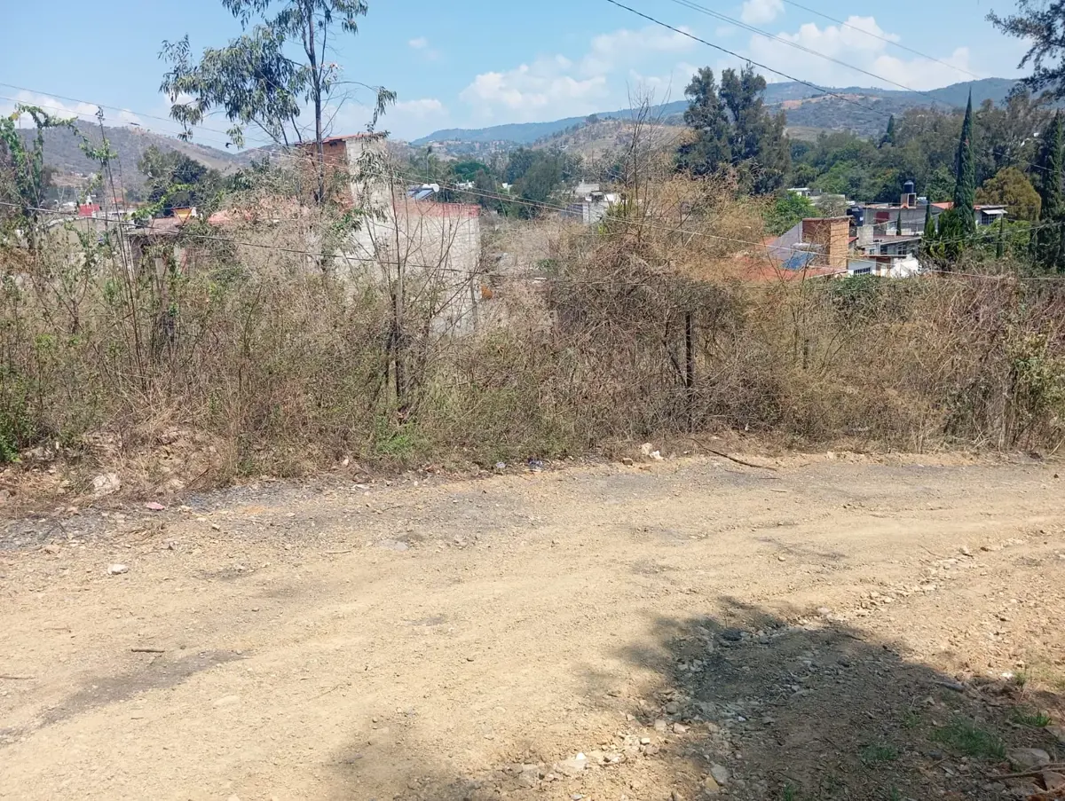 Terreno en venta en 3 de Mayo, Ixtapan de la Sal — foto 1 de 8
