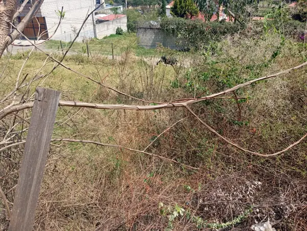 Terreno en venta en 3 de Mayo, Ixtapan de la Sal — foto 2 de 8
