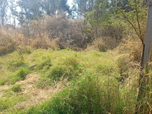 Terreno en venta en 3 de Mayo, Ixtapan de la Sal — foto 3 de 8