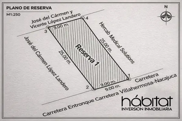 Terreno en venta en Pino Suarez, Centro — foto 2 de 4