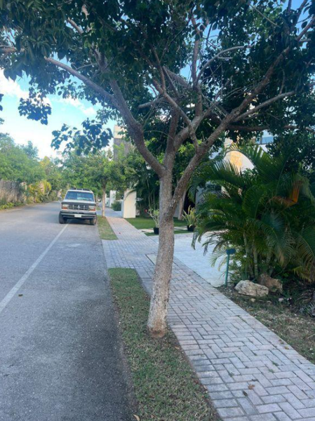 Terreno en venta en Tixcuytun, Mérida — foto 2 de 18