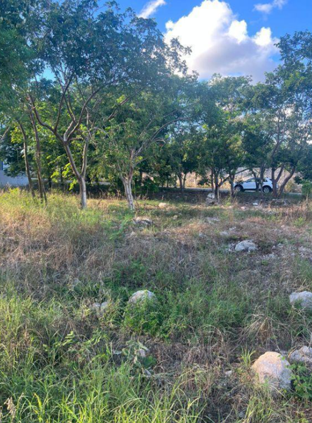 Terreno en venta en Tixcuytun, Mérida — foto 3 de 18
