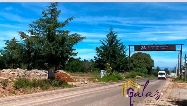Terreno en venta en El Crucero de Huasca, Omitlán de Juárez — foto 2 de 4