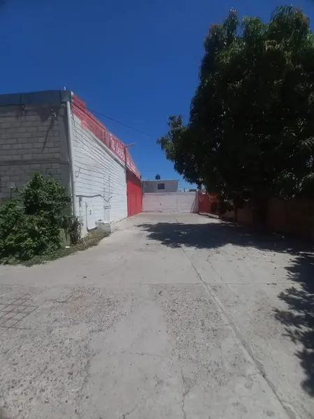 Bodega en renta en Bugambilias, Culiacán — foto 3 de 12